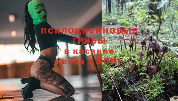 герыч Аркадак