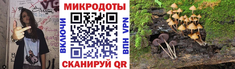 Псилоцибиновые грибы GOLDEN TEACHER  кракен вход  Гурьевск 