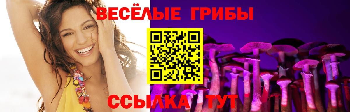 наркотики  Галлюциногенные грибы GOLDEN TEACHER  Вход с VPN  Гурьевск 